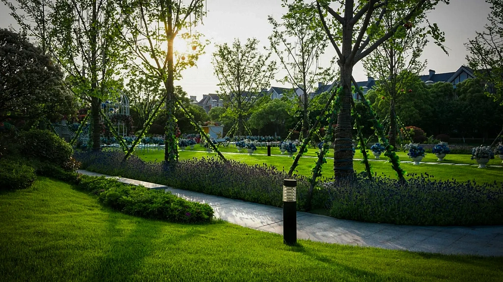 Ландшафтный дизайн и садоводство