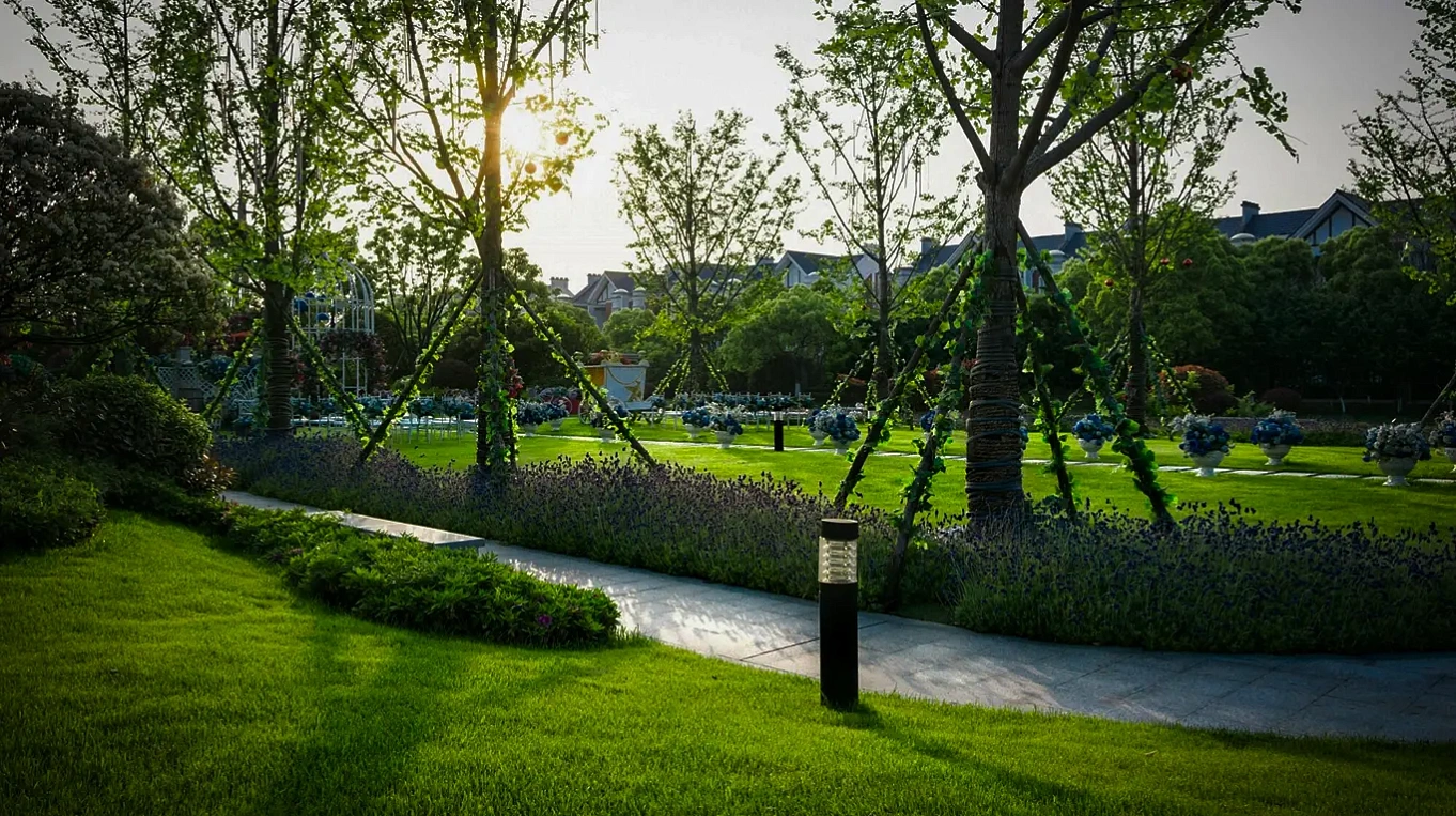 Ландшафтный дизайн и садоводство